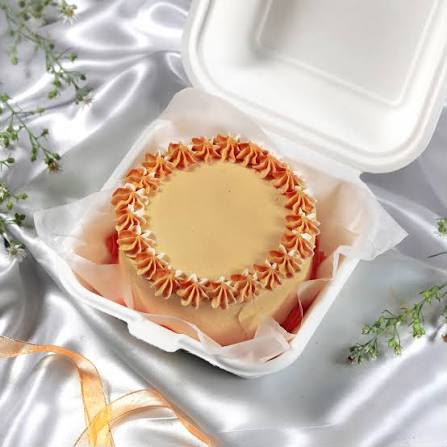 Peech Blush Bento Cake