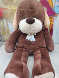 Big brown teddy