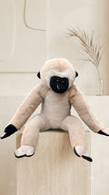 Money Soft Toy
