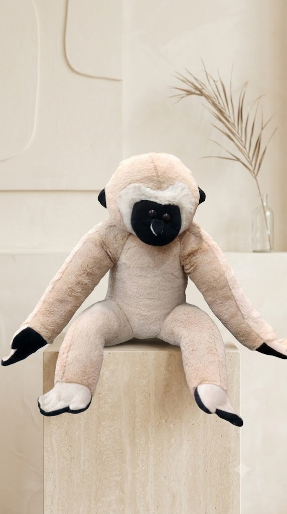 Money Soft Toy