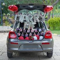 Marry Me Car Decor with Polarid Photo